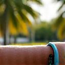 Smartwatch being worn during a run in a humid, sunny Miami park with palm trees